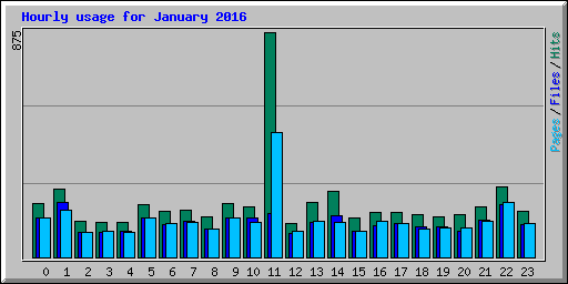 Hourly usage for January 2016