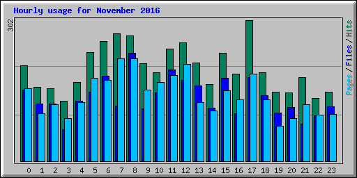 Hourly usage for November 2016