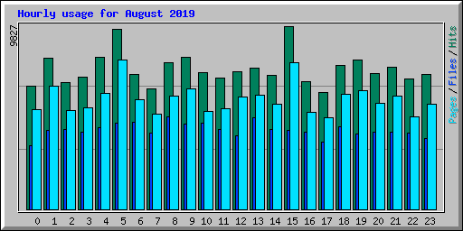 Hourly usage for August 2019