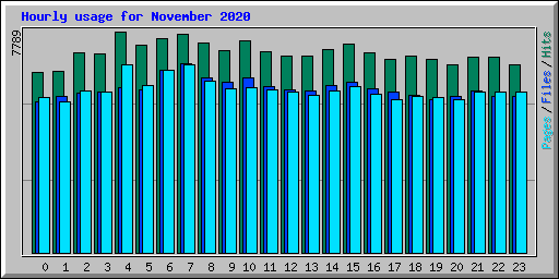 Hourly usage for November 2020