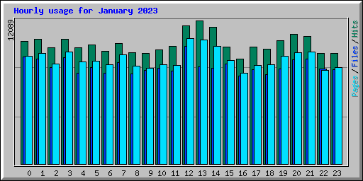 Hourly usage for January 2023